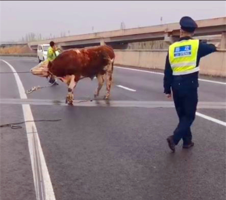 QQ图片20220331120054_副本