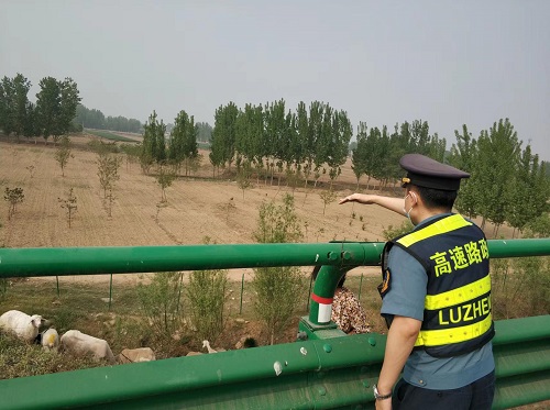 新建文件夹 (2)IMG_2217(20220427-143839)