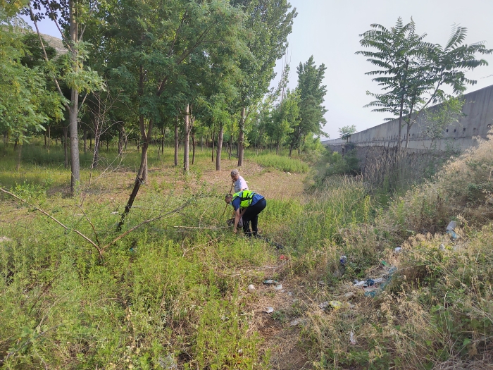 fbfce3e74050aff43f8329881cba762