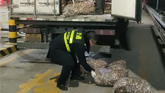 微信图片_20250218104737