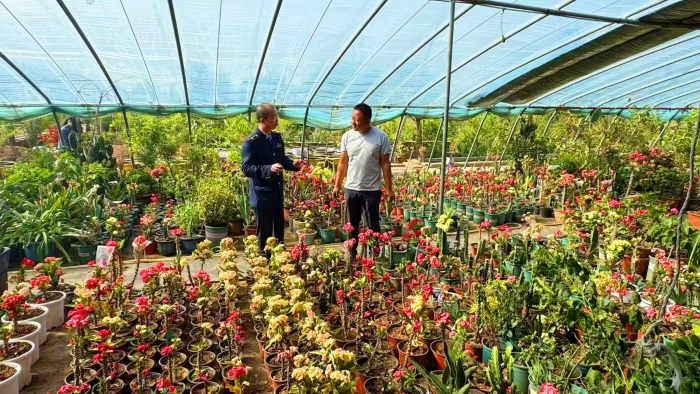 C:\Users\Lenovo\Desktop\e323e77480a6110284678aac7baee00